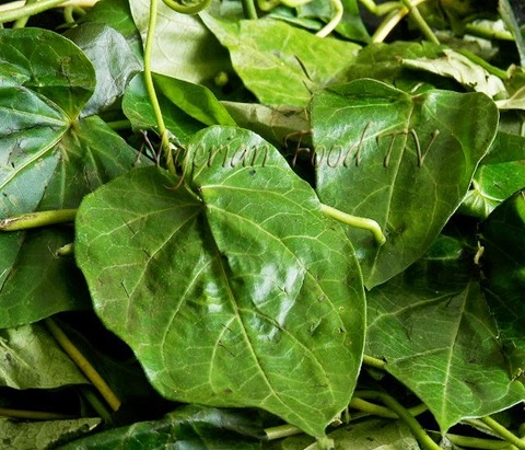 Okazi leaf